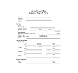 Travel Expense Report Template