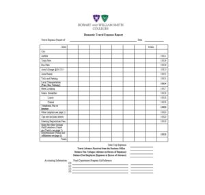Travel Expense Report Template