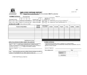 Travel Expense Report Template
