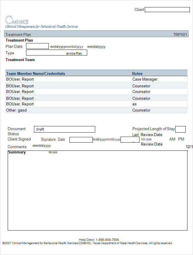 Treatment Plan Template Word Treatment Plan Template Word