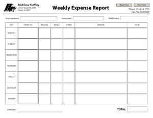 Weekly Expense Report Template Example