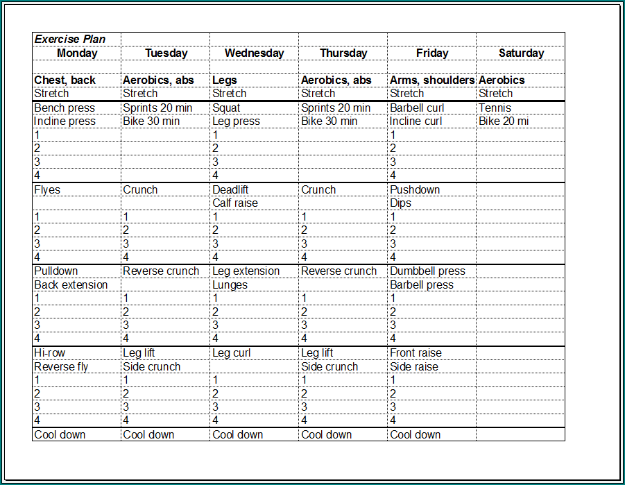 Workout Schedule Template Sample