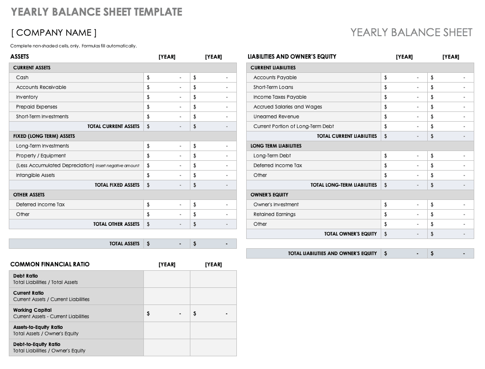 Yearly Comparison Balance Sheet Template Sample Yearly Comparison Balance Sheet Template Sample