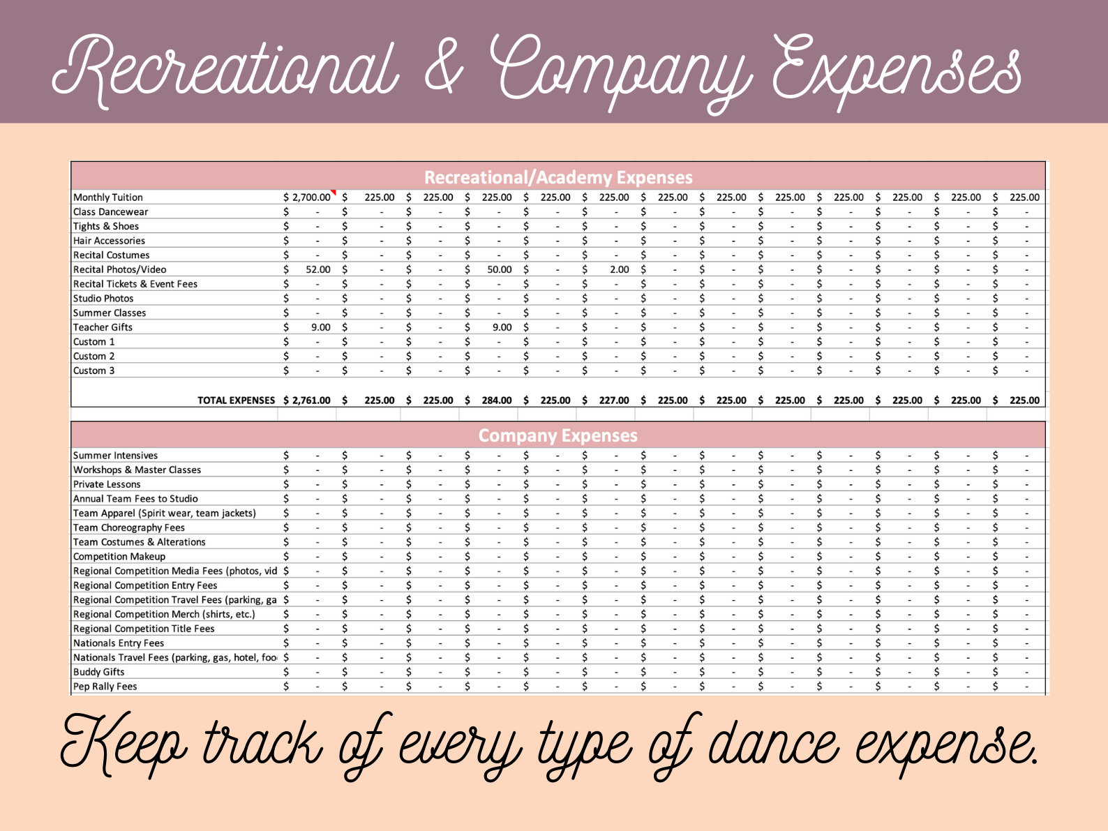 sample dance studio budget template sample dance studio budget template