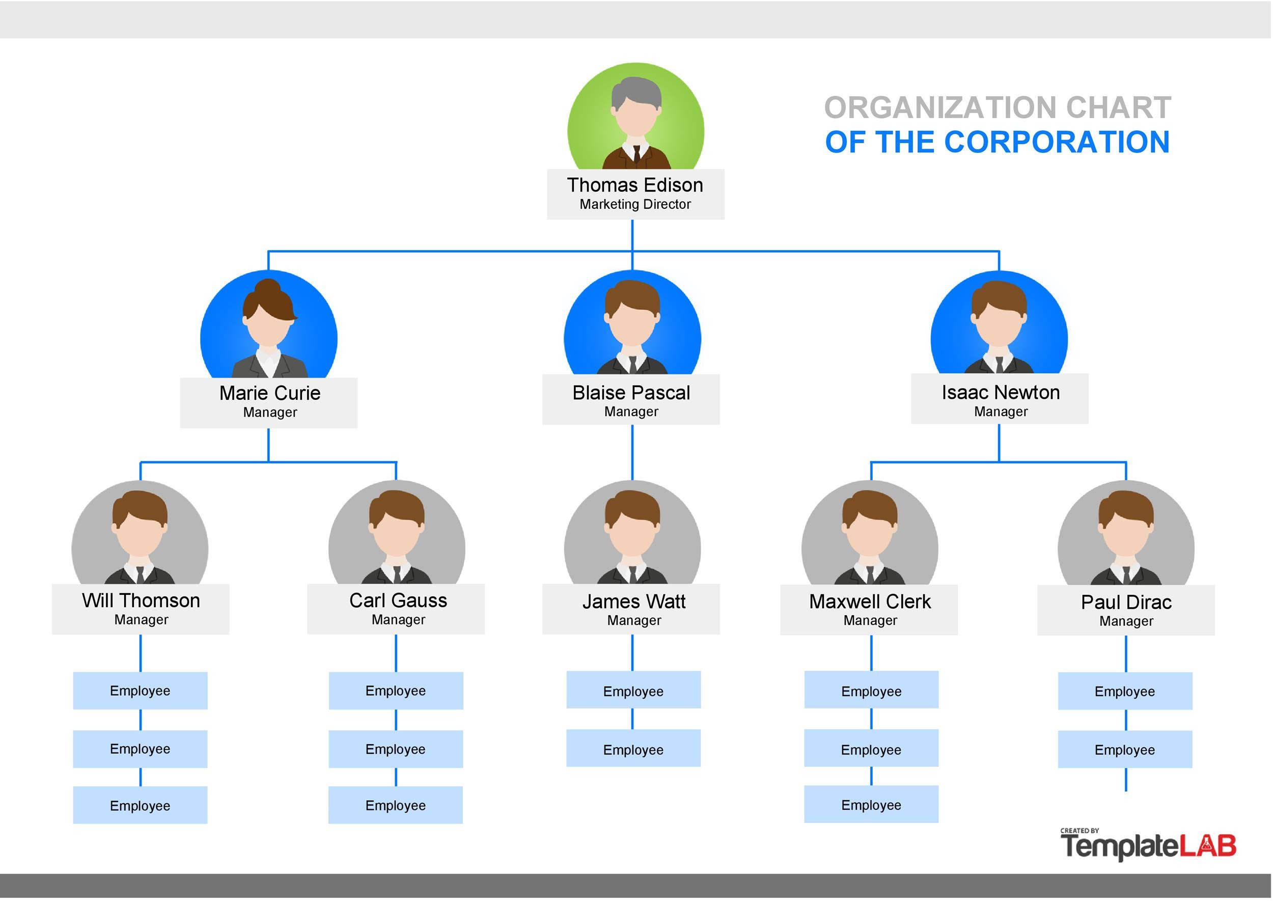 company chart template sample company chart template sample