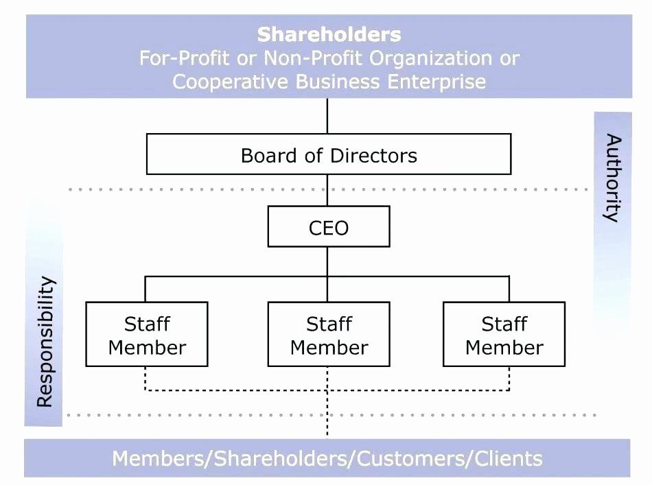 example of nonprofit organization chart template example of nonprofit organization chart template