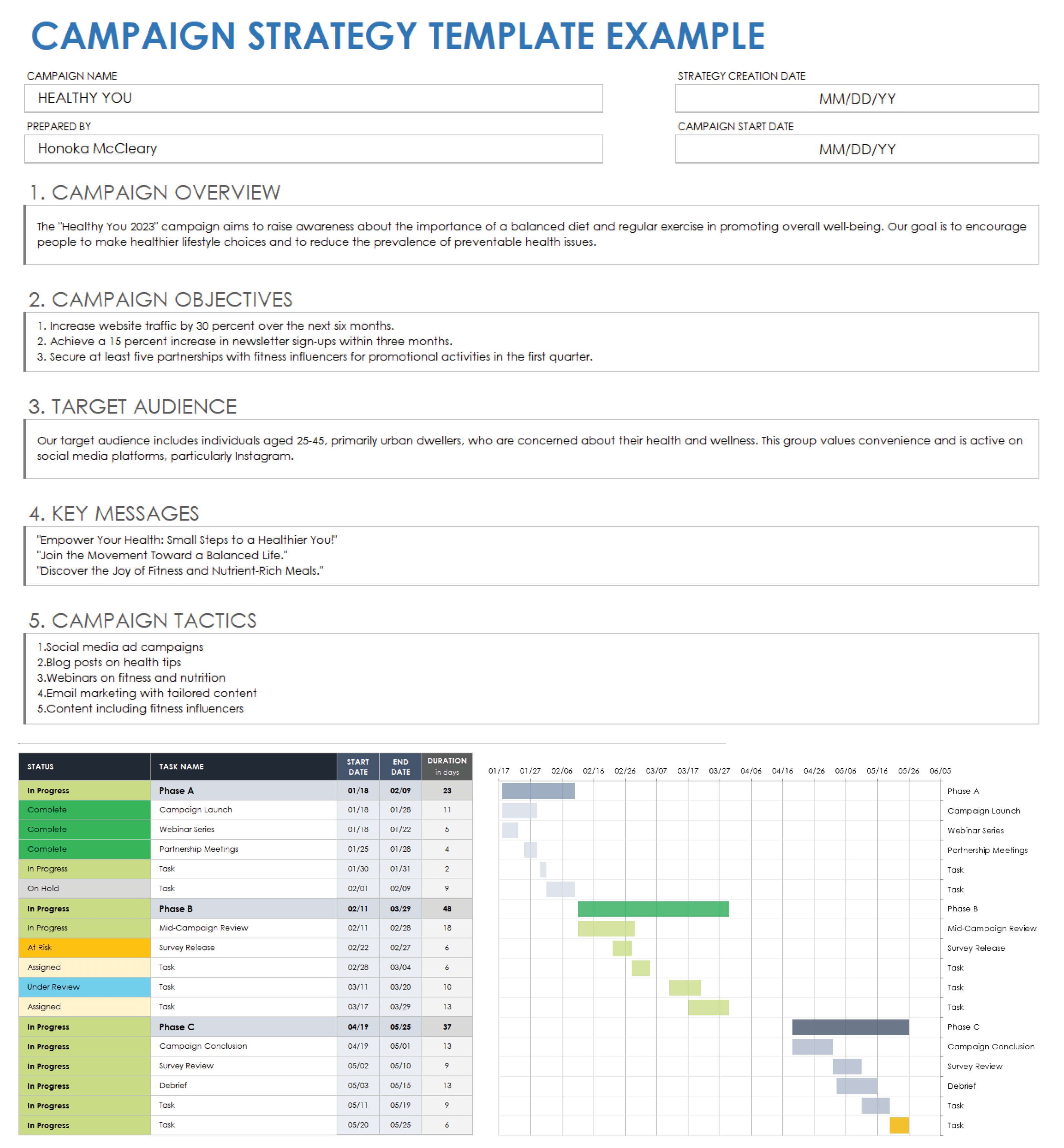 sample political campaign budget template sample political campaign budget template