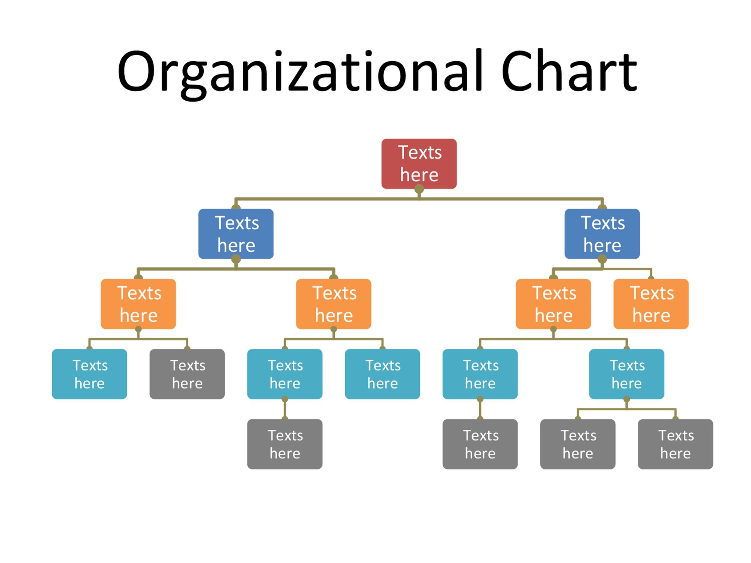 organization chart template