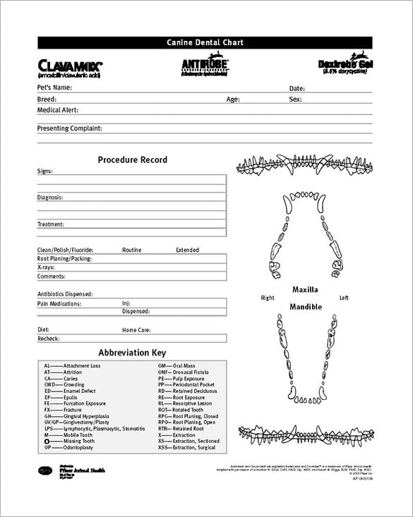 printable patient chart template sample printable patient chart template sample